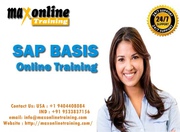 SAP BASIS ONLINE TRAINING FROM PROFESSIONALS