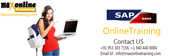 Sap basics online training from basic level